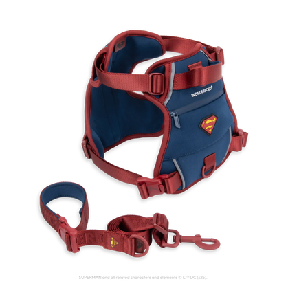 Superman Pet Leash and Harness Bundle