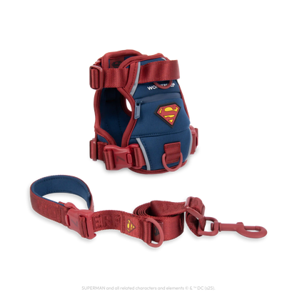 Superman Pet Leash and Harness Bundle