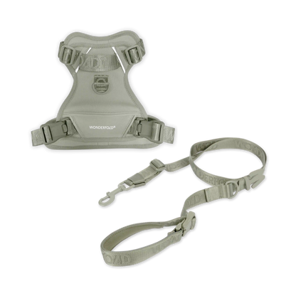 Pet Harness and Leash Bundle