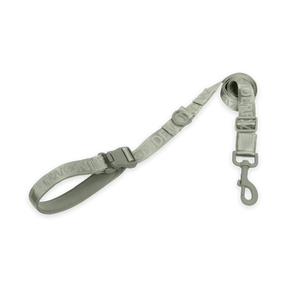 Pet Leash