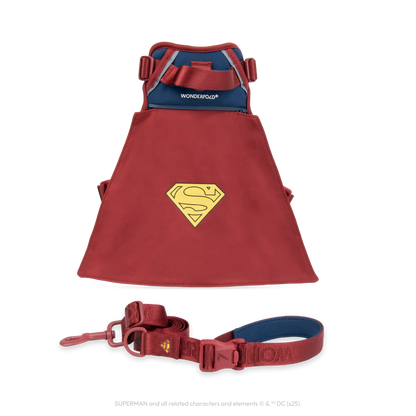 Superman Pet Leash and Harness Bundle