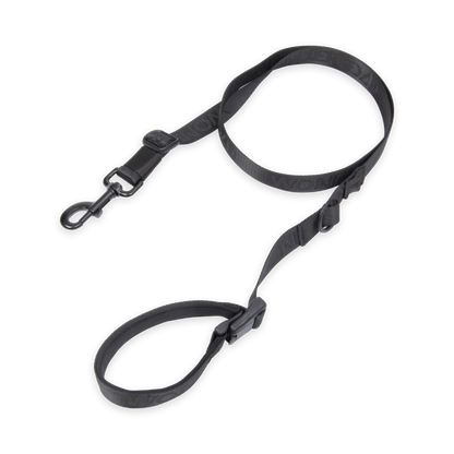 Pet Leash
