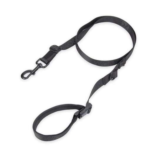 Pet Leash