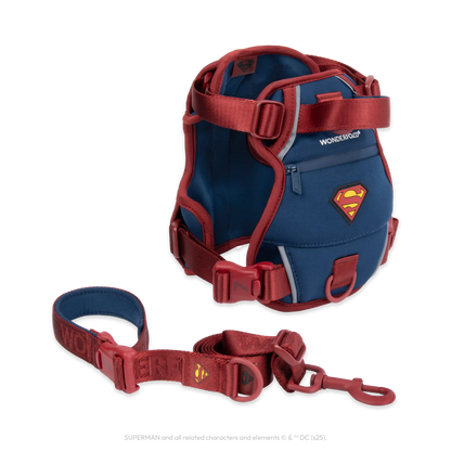 Superman Pet Leash and Harness Bundle