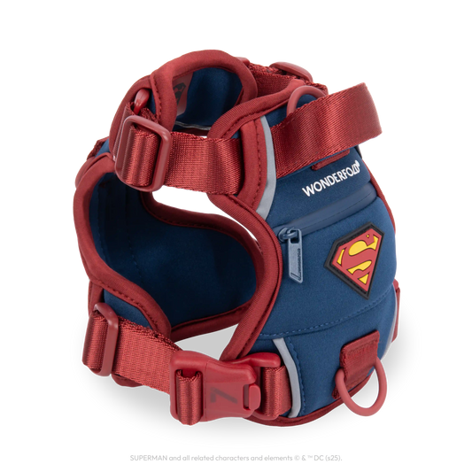 Superman Pet Harness