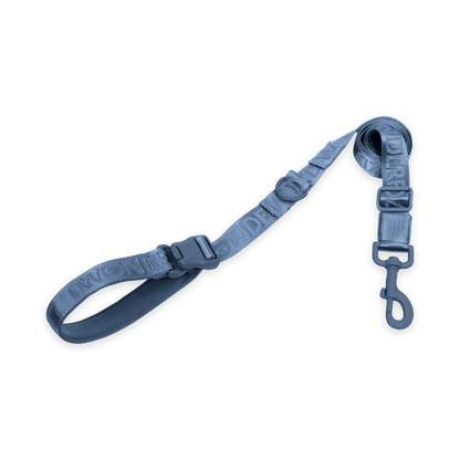 Pet Leash
