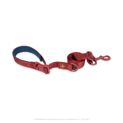 Superman Pet Leash