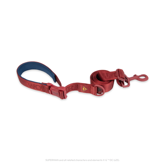Superman Pet Leash
