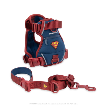 Superman Pet Leash and Harness Bundle