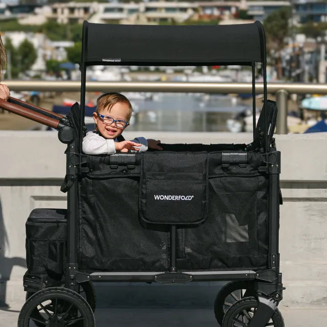 W2 Luxe Pro Stroller Wagon (2 Seater)