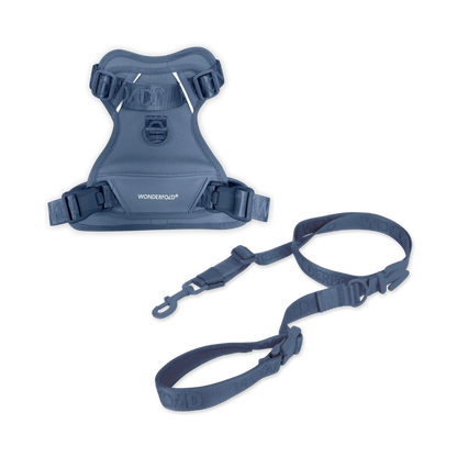 Pet Harness and Leash Bundle