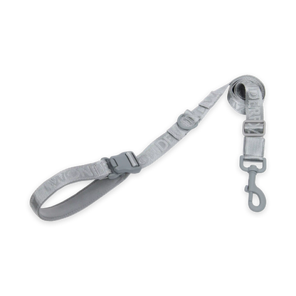 Pet Leash