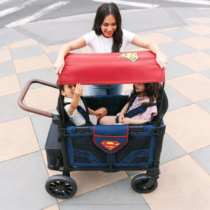 Superman Canopy Fabric