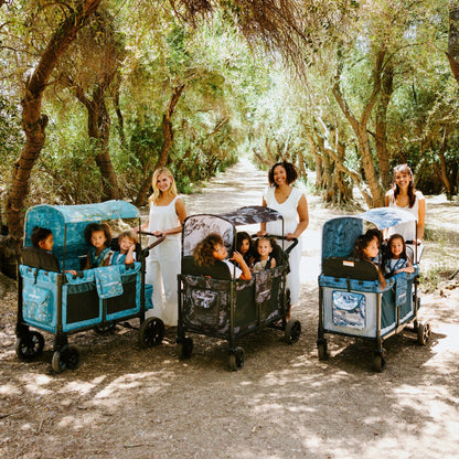 Panoramic Canopy Collaboration - Van Gogh Museum
