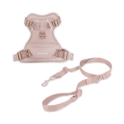 Pet Harness and Leash Bundle