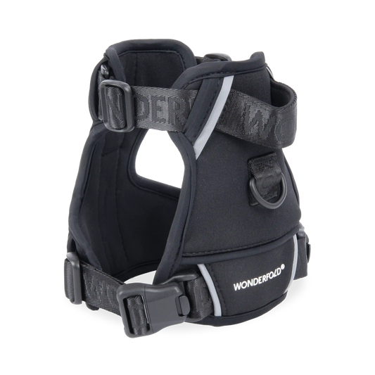 Pet Harness