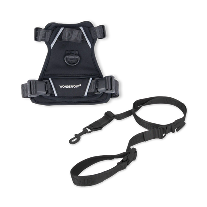 Pet Harness and Leash Bundle