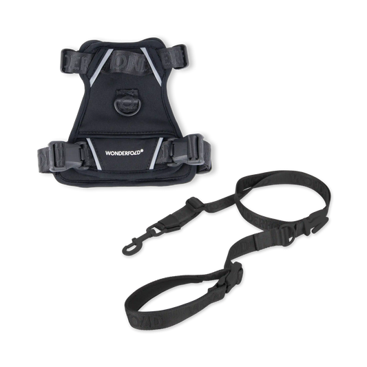 Pet Harness and Leash Bundle